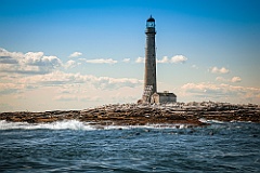 Seals Playing in Waters by Boon Island Lighthouse